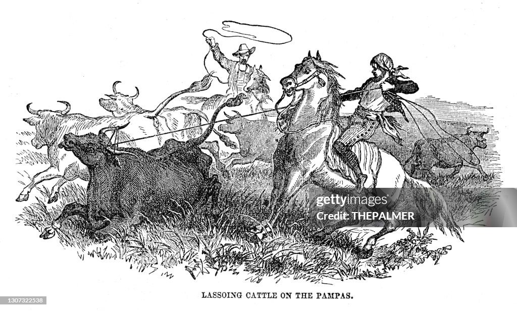 Amarrar ganado en las Pampas 1867