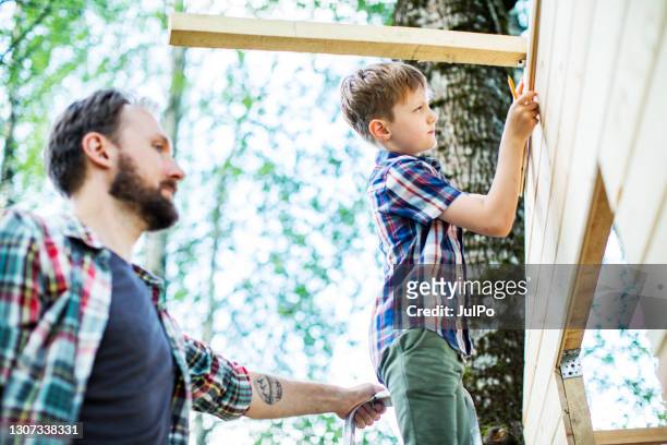 father and son building tree house at backyard - tree house stock pictures, royalty-free photos & images