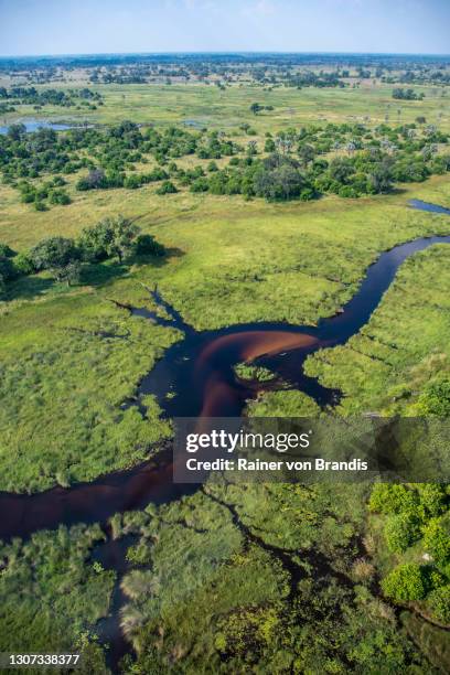 okavango aus der luft - okawangodelta stock-fotos und bilder