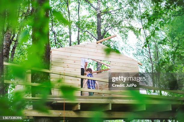 father and son building tree house at backyard - tree house stock pictures, royalty-free photos & images