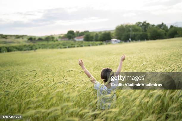 taller than the gras - gras field stock pictures, royalty-free photos & images