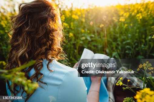 A girl sits in a field on a lawn of yellow flowers, reading a book on a summer sunny day. A beautiful girl in a blue dress reads a Bible. Open reading. Place for text. A girl sits in a field on a lawn of yellow flowers, reading a book on a summer sunny day. A beautiful girl in a blue dress reads a Bible. Open reading. Place for text.