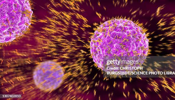 antibodies attacking virus particles, illustration - b cell stock pictures, royalty-free photos & images