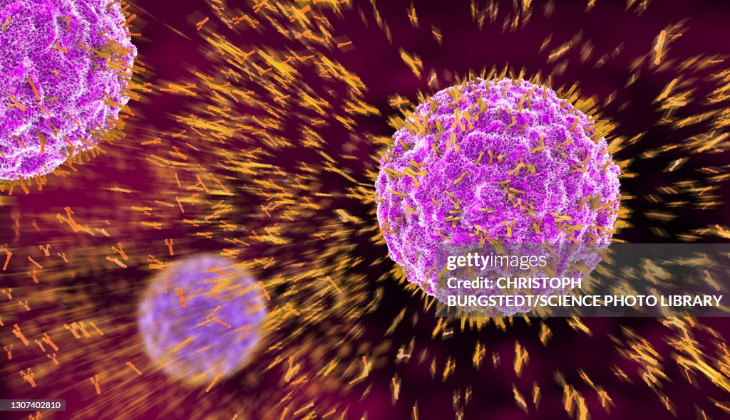 Antibodies attacking virus particles, illustration