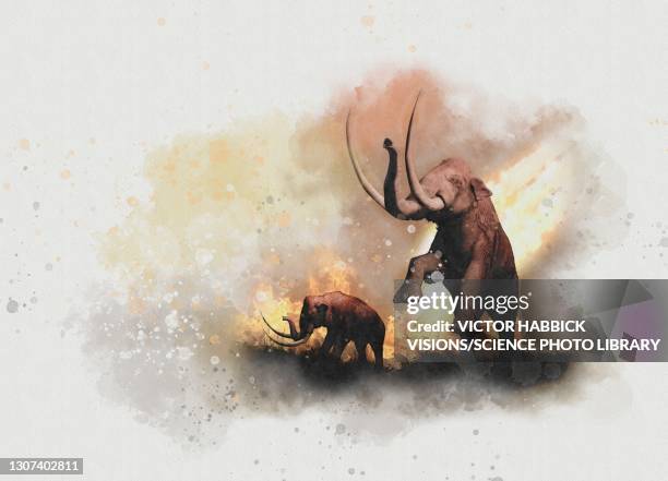 woolly mammoths and meteor, illustration - animal extinto fotografías e imágenes de stock