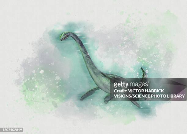loch ness monster, illustration - ネス湖 ストックフォトと画像