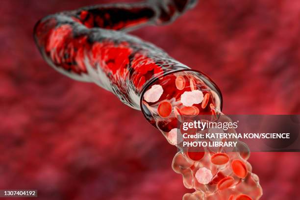 blood flow, illustration - blood cell stock pictures, royalty-free photos & images