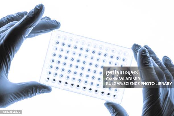 biological research, conceptual image - 96 well plate stock pictures, royalty-free photos & images