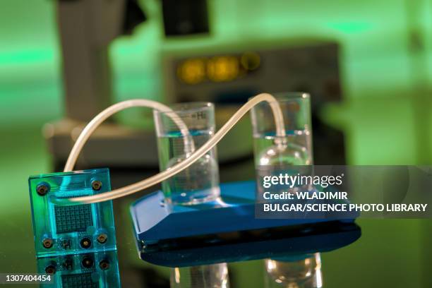 hydrogen fuel cell - membrane stock pictures, royalty-free photos & images
