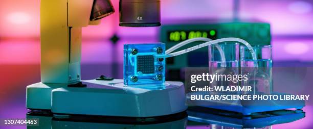hydrogen fuel cell - wasserstoff-brennstoffzelle stock-fotos und bilder