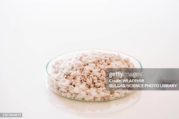 Perlite Inmages Perlite Photos and Premium High Res Pictures - Getty Images