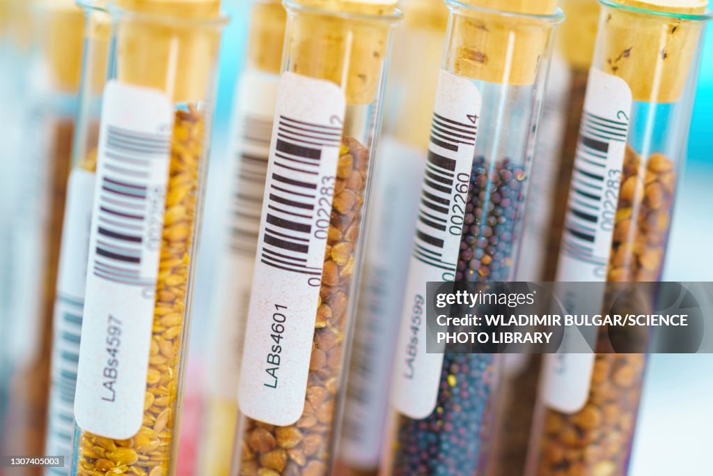Agricultural research, conceptual image