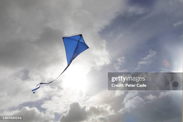Blue Color Kite Blue Kite From Kite Runner