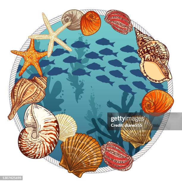 underwater scene with fish - nautilus shell stock illustrations