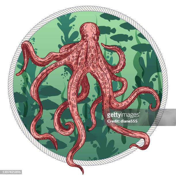 underwater scene with fish - octopus stock illustrations