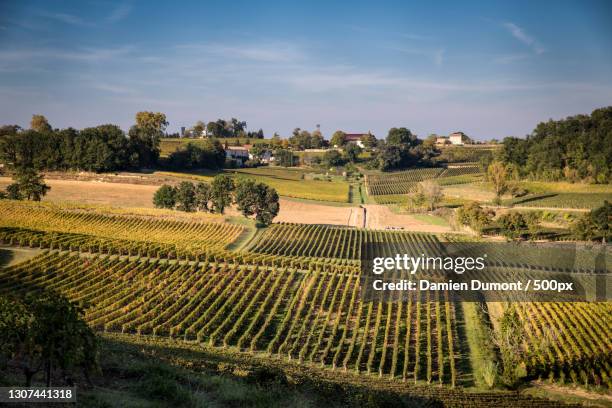 scenic view of agricultural field against sky,france - aquitania fotografías e imágenes de stock