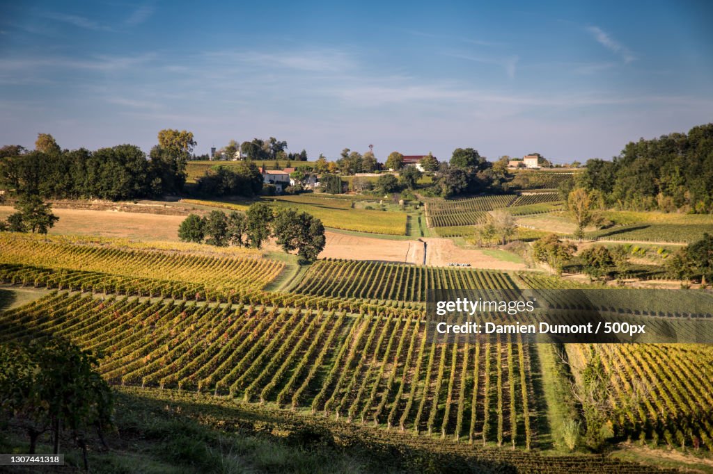 Scenic view of agricultural field against sky,France