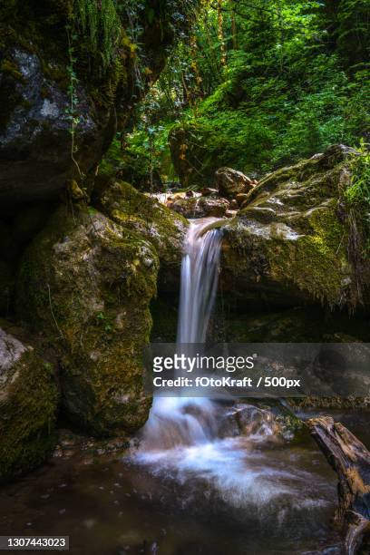 scenic view of waterfall in forest,austria - bach wald stock pictures, royalty-free photos & images