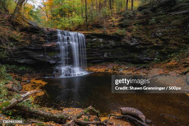 scenic view of waterfall in forest,ricketts glen state park,united states,usa - state park fotografías e imágenes de stock