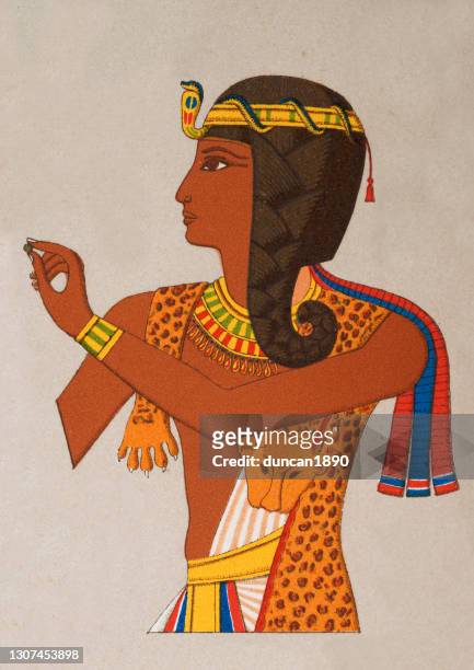 ancient egyptian queen, young woman wearing leopard skin, diadem, plaited hair - design plat stock illustrations