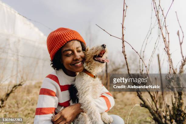 in a vineyard with my best friend - black dog stock pictures, royalty-free photos & images