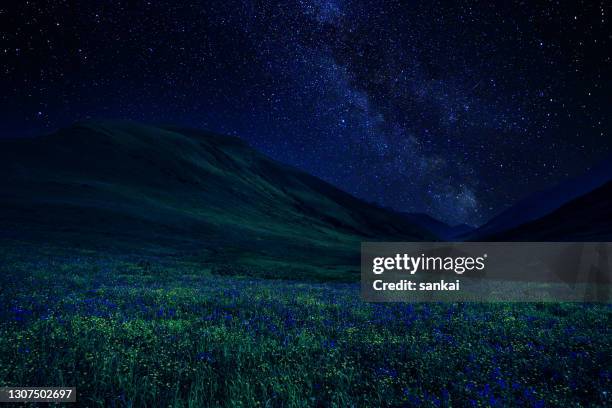 milky way over the valley in the mountains - starlight meadow stock pictures, royalty-free photos & images