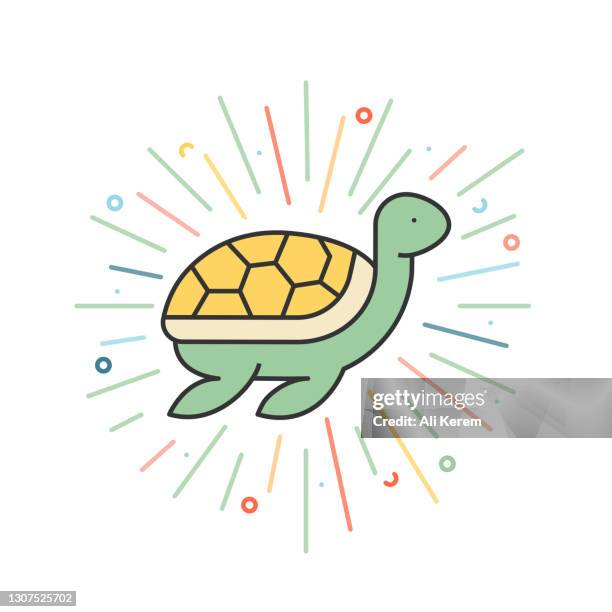 terrapin line icon - turtle stock illustrations