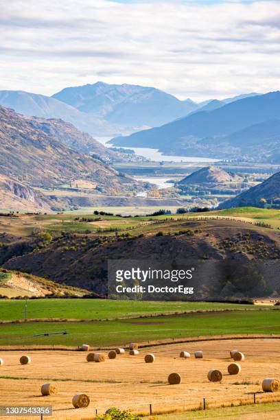 golden farmland with queenstown background in autumn, queenstown, new zealand - otago stock pictures, royalty-free photos & images
