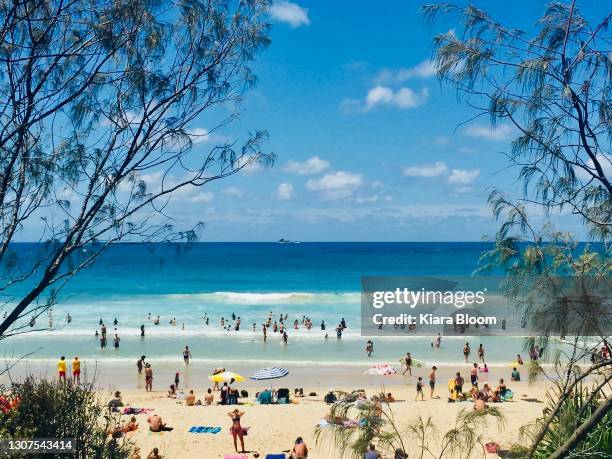 vacaciones tropicales en la playa de verano - australian beach fotografías e imágenes de stock