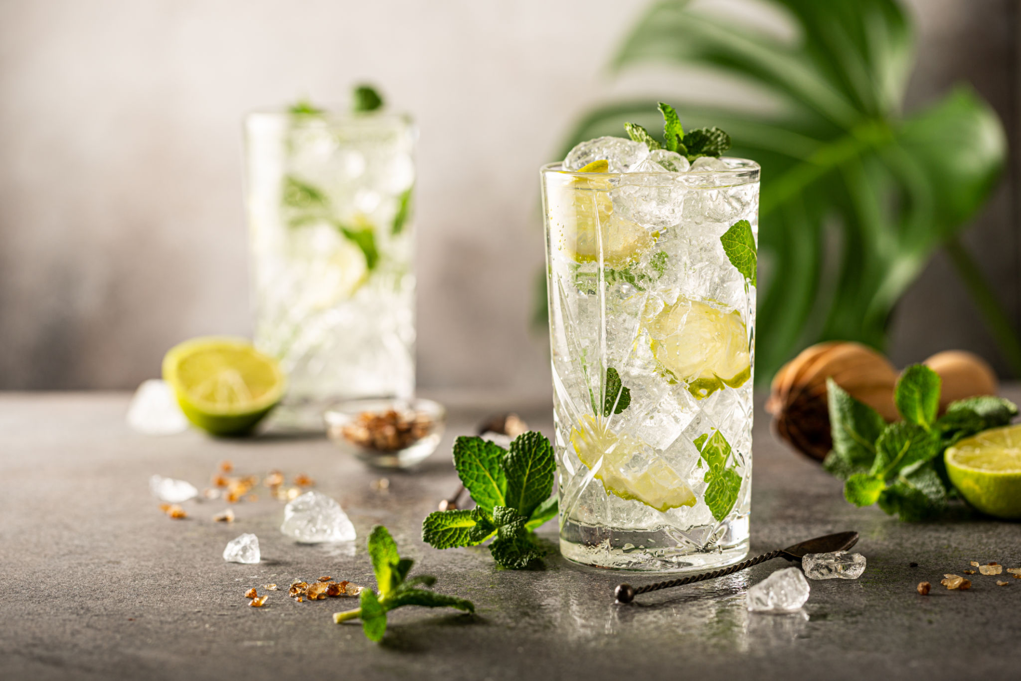 mojito tropical