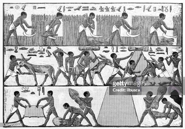 antique illustration: egyptian farmers hieroglyph - ancient stock illustrations