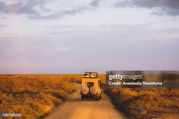 malerische aussicht auf safari 4x4 auto fahren durch die schöne landschaft bei sonnenuntergang - tansania stock-fotos und bilder