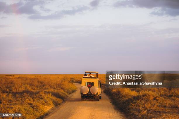 vue scénique de voiture de safari 4x4 conduisant par le beau paysage pendant le coucher du soleil - safari animals stock photos et images de collection