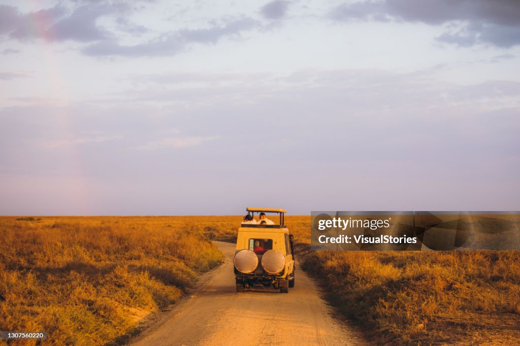 Scenic view of safari 4X4 car driving through the beautiful landscape during sunset
