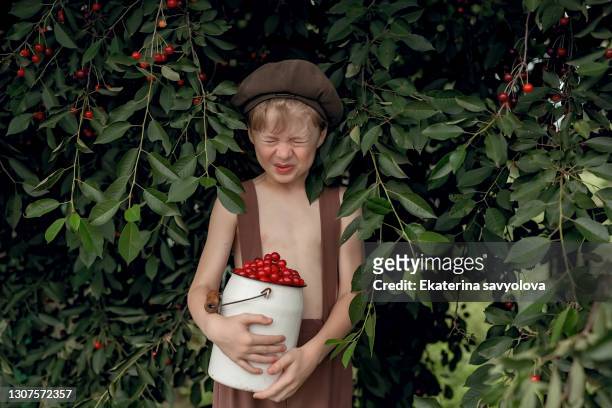 the boy eats cherries and grimaces at the sour taste. - ginja imagens e fotografias de stock