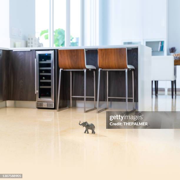 de olifant in het concept van het ruimtegooie - elephant at home stockfoto's en -beelden