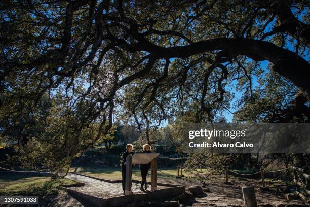 Sisters Felisa and Maria Jesus Aransanz in front of the thousand year old holm oak tree on March 16, 2021 in Lecina, Spain. The Aransanz family has...