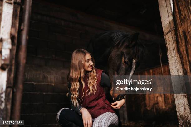 young adult woman feeding her horse in a stable - horse family stock pictures, royalty-free photos & images