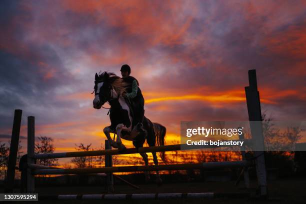 pferd mit junger reiterin springt über hindernis - horse racing jump stock-fotos und bilder