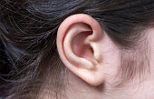 Female ear stock photo