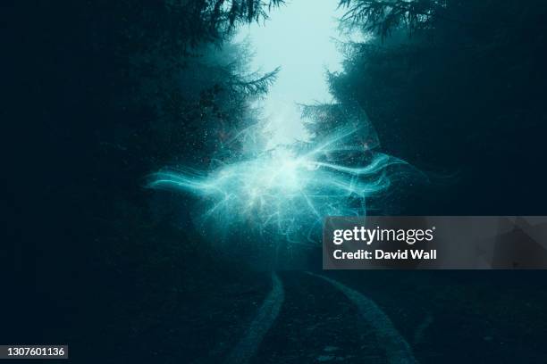 an atmospheric fantasy concept. of a glowing alien portal in a spooky forest. on a foggy winters day - aura photos et images de collection
