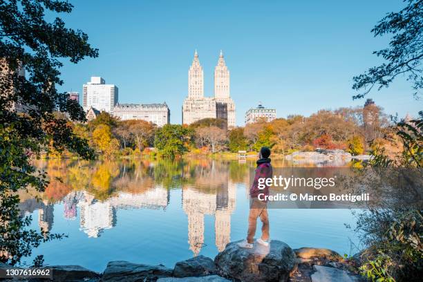 man looking at view in central park, new york city - new york tourist stock-fotos und bilder