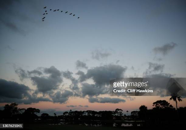 Birds fly overhead early in the morning during the pro-am prior to The Honda Classic on March 17, 2021 in Palm Beach Gardens, Florida.