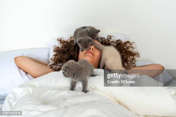 kittens playing on the sleeping teenage girl in the morning - cats on the bed stock pictures, royalty-free photos & images