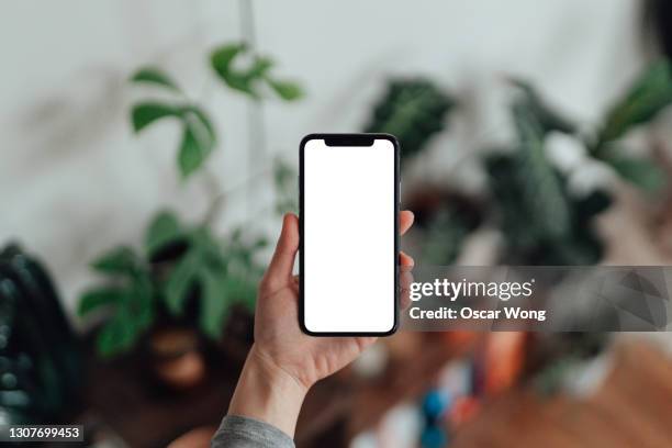 mockup image of woman holding smartphone with blank white screen at home - menselijke hand stockfoto's en -beelden
