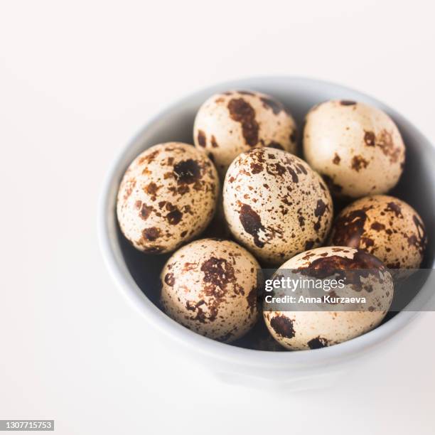 fresh quail eggs in a blue bowl isolated on white - huevo de codorniz fotografías e imágenes de stock