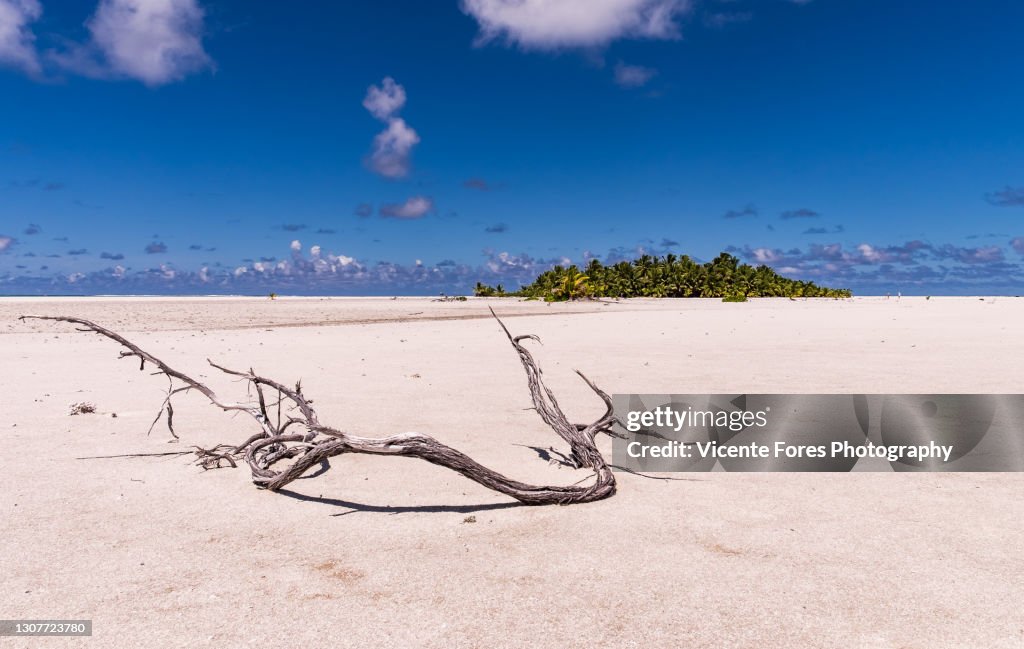 Drift wood on an amazing sunny day at one foot island in the lagoon of Aitutaki