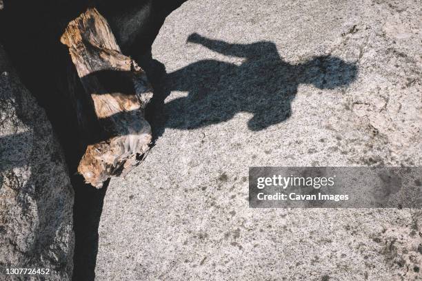 woman's shadow falls on driftwood and stone on a summer day - wilderness font stock pictures, royalty-free photos & images