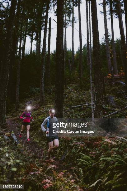 two trail runners run down steep slope at night with headlamps glowing - cavan images stockfoto's en -beelden