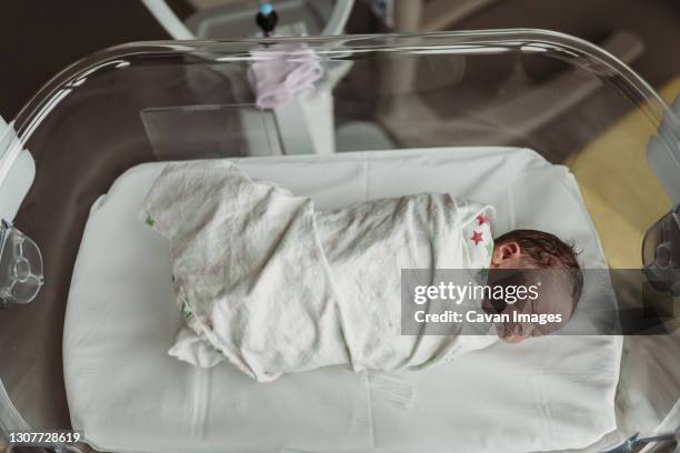 above angle view of newborn baby boy right after birth in bassinet - maternity ward stock-fotos und bilder